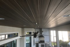 Full ceiling view